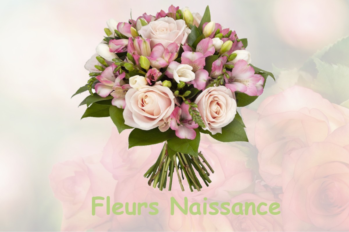 fleurs naissance SAINT-MANVIEU-NORREY