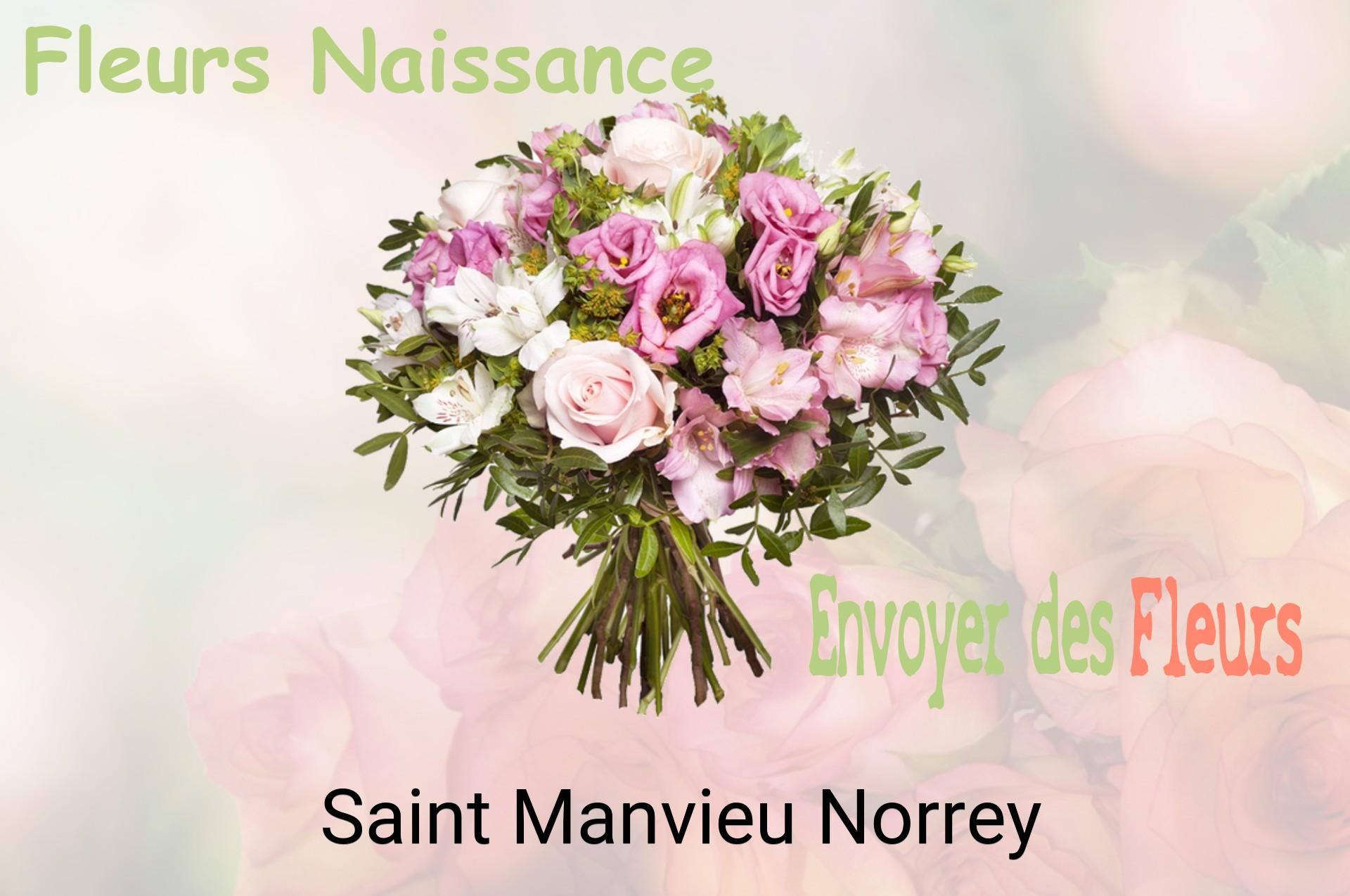 Bouquet de fleurs de naissance livré à Saint-Manvieu-Norrey